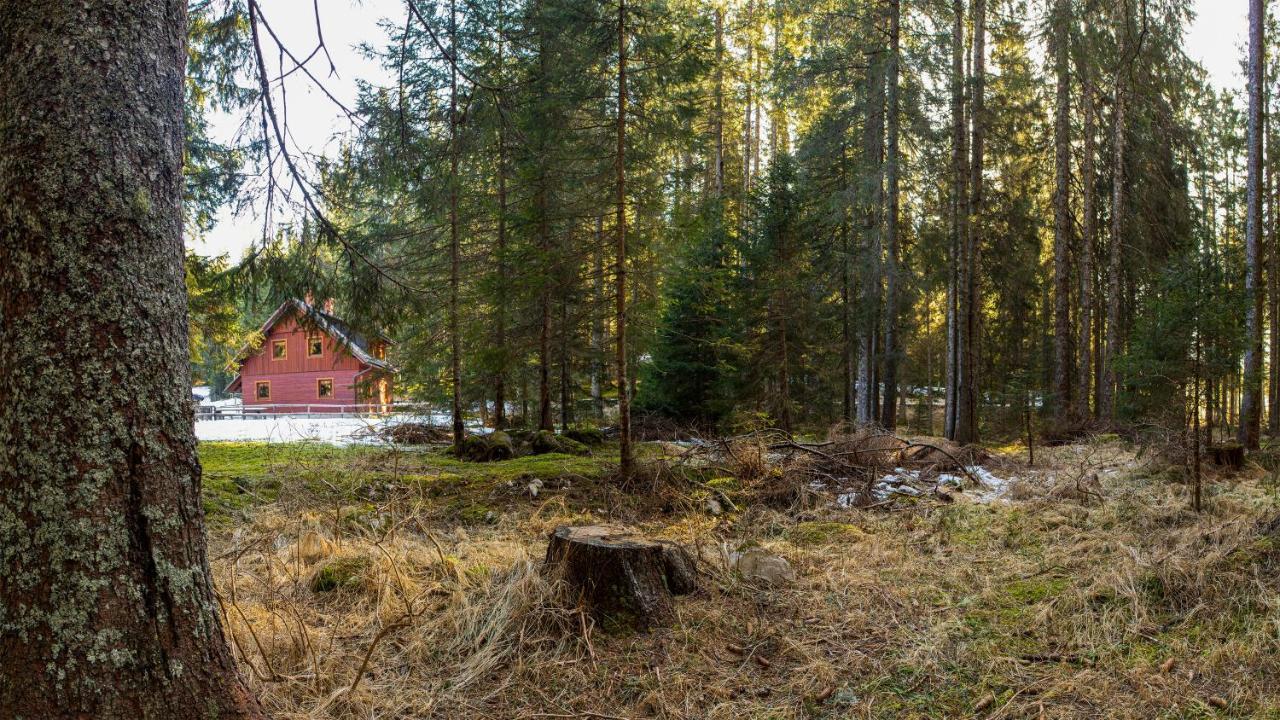 Digital Detox Chalet Pokljuka Goreljek Exterior foto